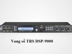 Vang số TRS DSP-9000