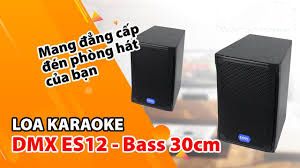 Đặc điêm Loa Karaoke DMX ES12