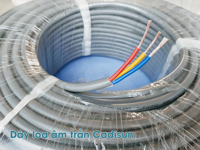 Dây loa âm trần Cadisun