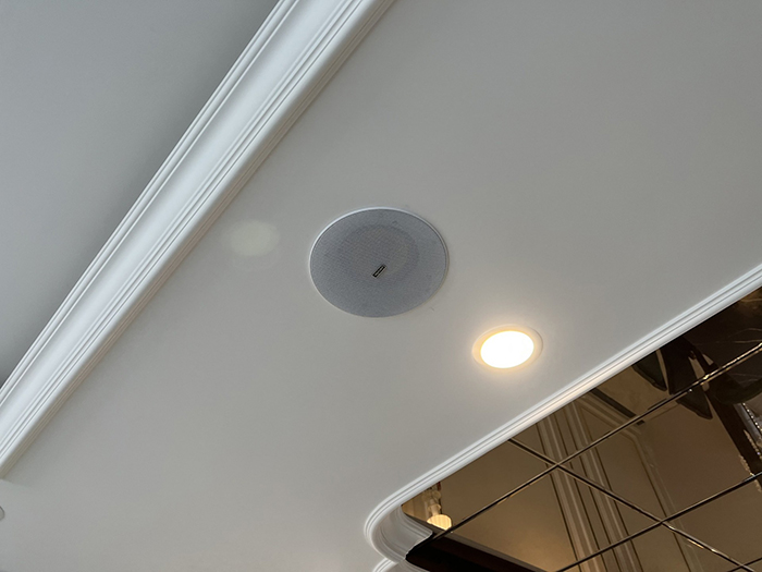Loa âm trần 20W