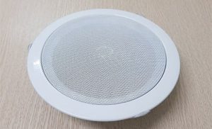 TOP 10 loa gắn trần nhà tốt nhất hiện nay