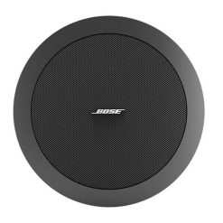 Loa BOSE FreeSpace DS 16F