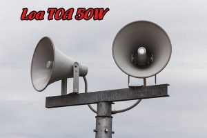 Loa Toa 50W