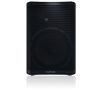 Loa QSC CP12